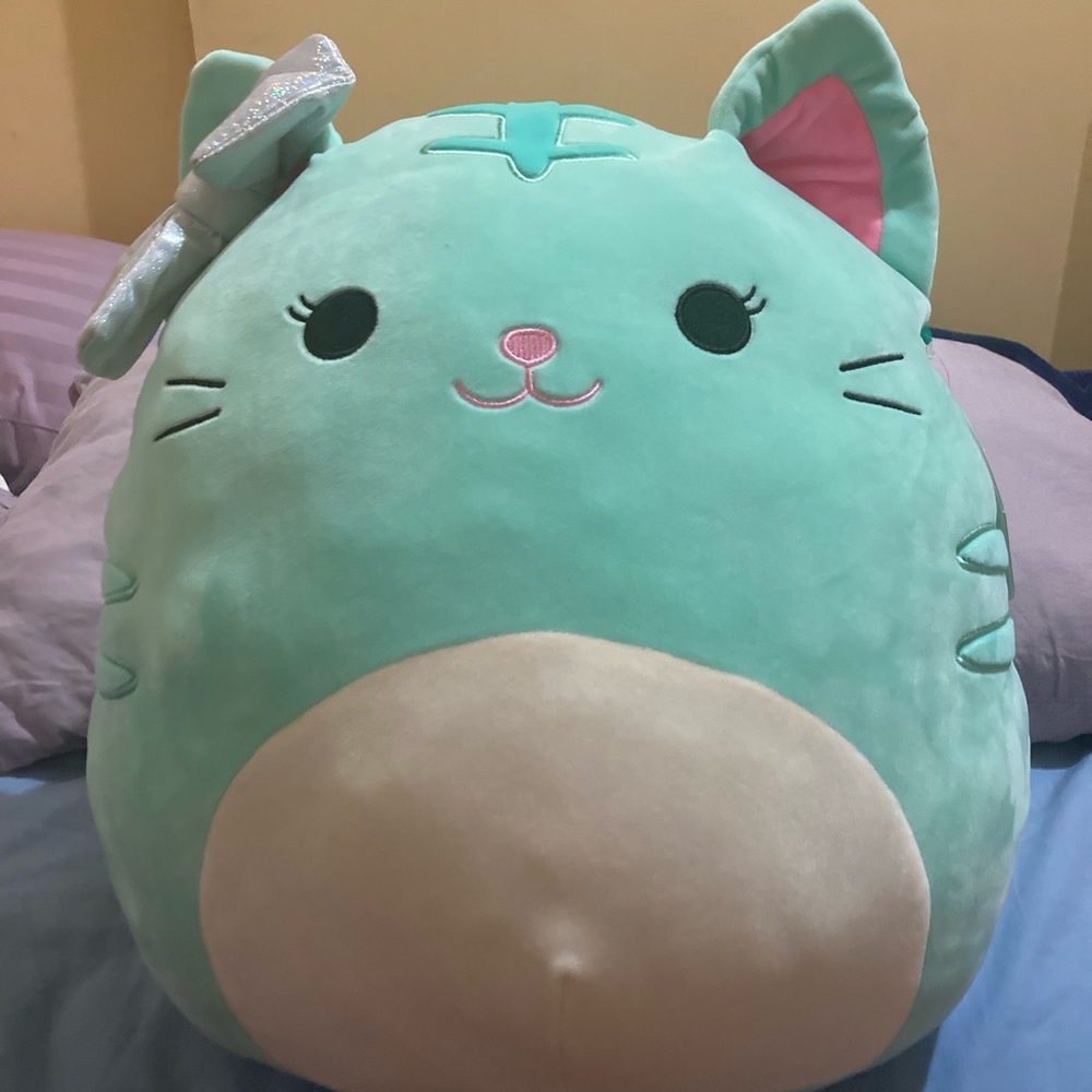 Tres’zure cat squishmallow